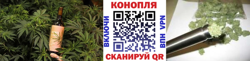 где найти   Нюрба  OMG ссылка  сайты даркнета официальный сайт  Печенье с ТГК конопля 