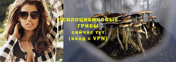 героин Алексин