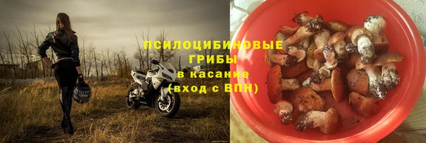 прущие крисы Алексеевка