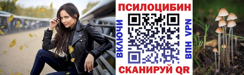 Галлюциногенные грибы прущие грибы  Нюрба 